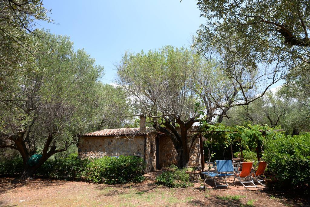 Villino Iolanda Villa Marina di Camerota Kültér fotó
